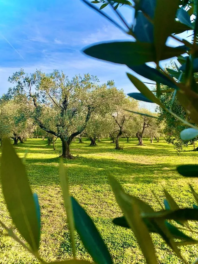 Bed & Breakfast Podere Al Fico B&B Collemezzano Italy