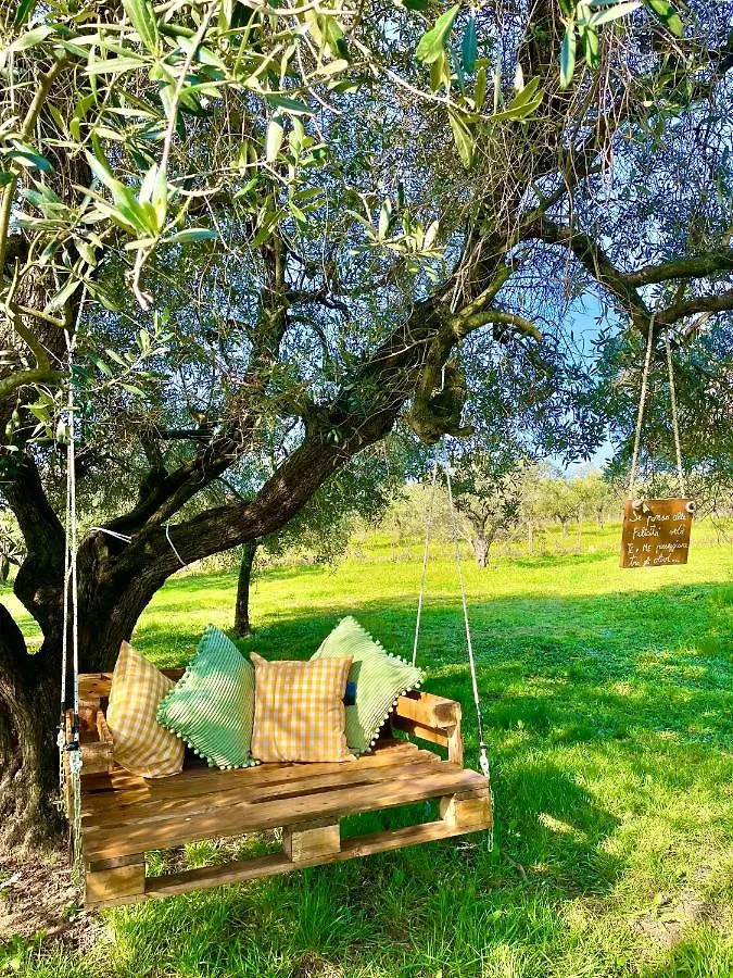 Podere Al Fico B&B Collemezzano